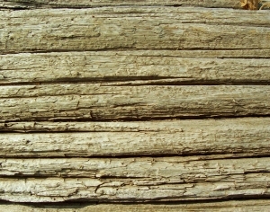 ModernBark Texture