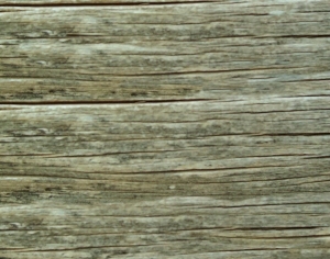 ModernBark Texture