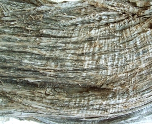 ModernBark Texture