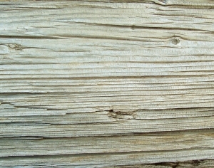 ModernBark Texture