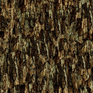 ModernBark Texture