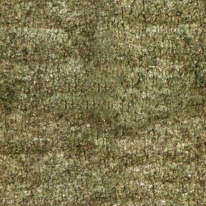 ModernBark Texture