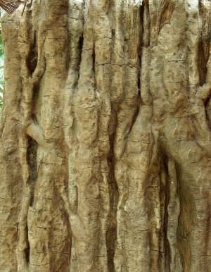 ModernBark Texture