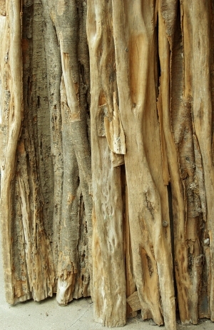 ModernBark Texture