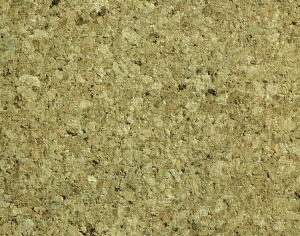 树干树皮表面-ID:460422041