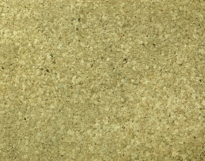 树干树皮表面-ID:889481074