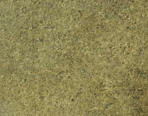 ModernBark Texture