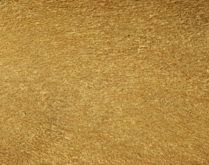 ModernBark Texture