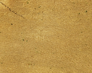 树干树皮表面-ID:698367126