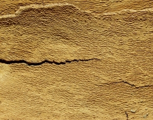 ModernBark Texture