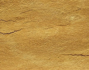 ModernBark Texture