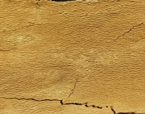 ModernBark Texture