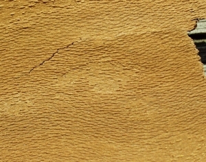 ModernBark Texture