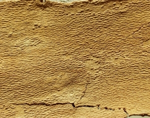 ModernBark Texture