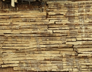 ModernBark Texture