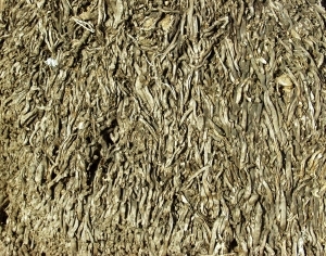 ModernBark Texture