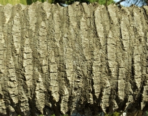 ModernBark Texture
