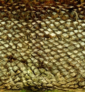 ModernBark Texture