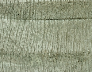 ModernBark Texture