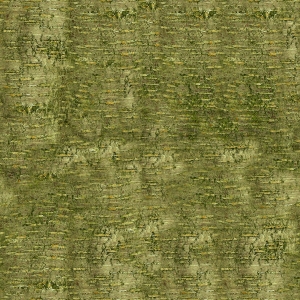 树干树皮表面-ID:823519951
