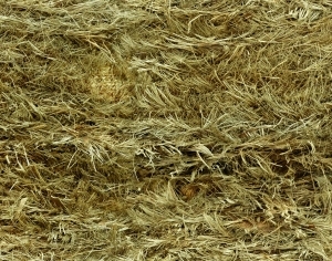 ModernBark Texture