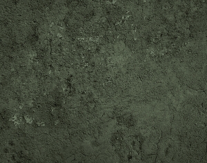 树干树皮表面-ID:750133991