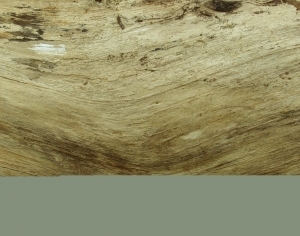 ModernBark Texture