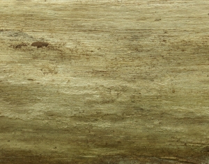 树干树皮表面-ID:780931953