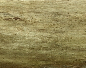 ModernBark Texture