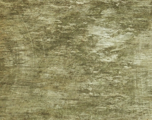树干树皮表面-ID:120599326