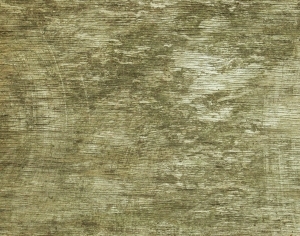 ModernBark Texture