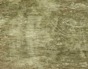 树干树皮表面-ID:118593934
