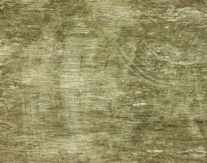 ModernBark Texture