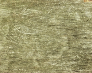 树干树皮表面-ID:361155998