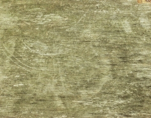ModernBark Texture