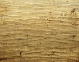 ModernBark Texture