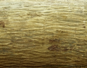 ModernBark Texture