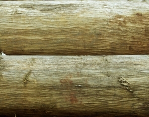 ModernBark Texture