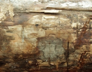 ModernBark Texture