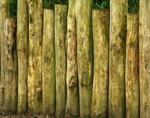 ModernBark Texture