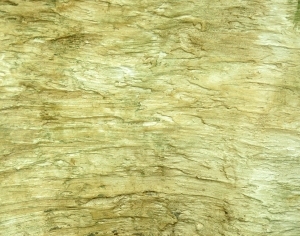 ModernBark Texture