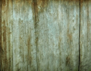 ModernBark Texture