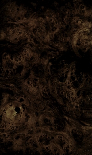ModernBark Texture