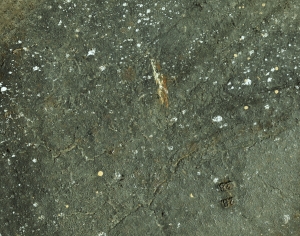铁锈破旧金属板-ID:170583967