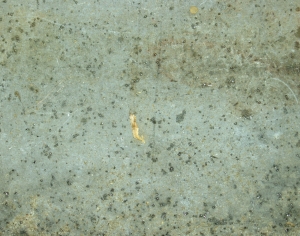 铁锈破旧金属板-ID:495482924