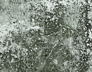ModernMetal Rust
