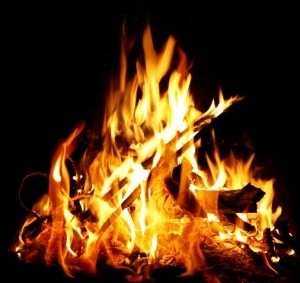 ModernNature Texture