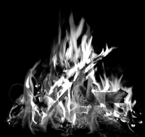 ModernNature Texture