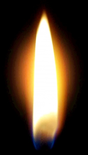 ModernNature Texture