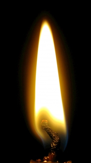 ModernNature Texture